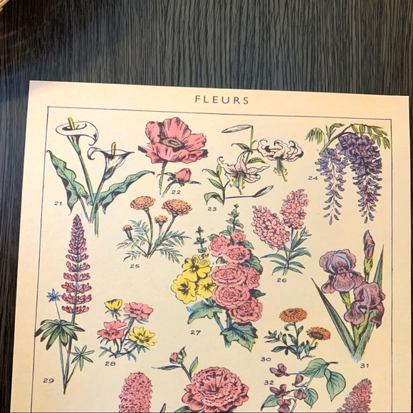 Vintage French 1909 Fleurs Floral Print 2 of 2 - Picture 2 of 3
